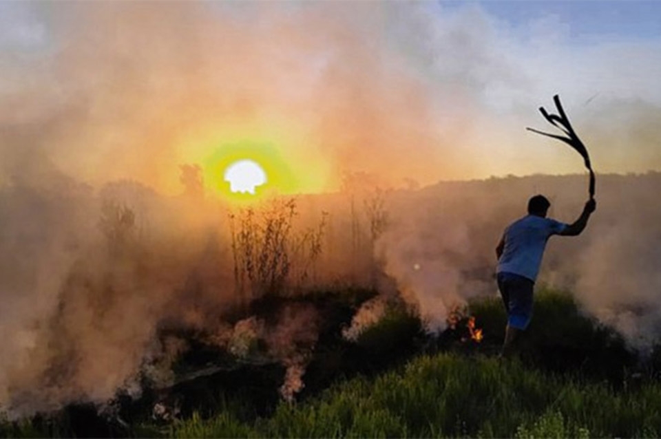 Quema de Pastizales: desde Bomberos afirman que es imposible el control - Vimarsana News